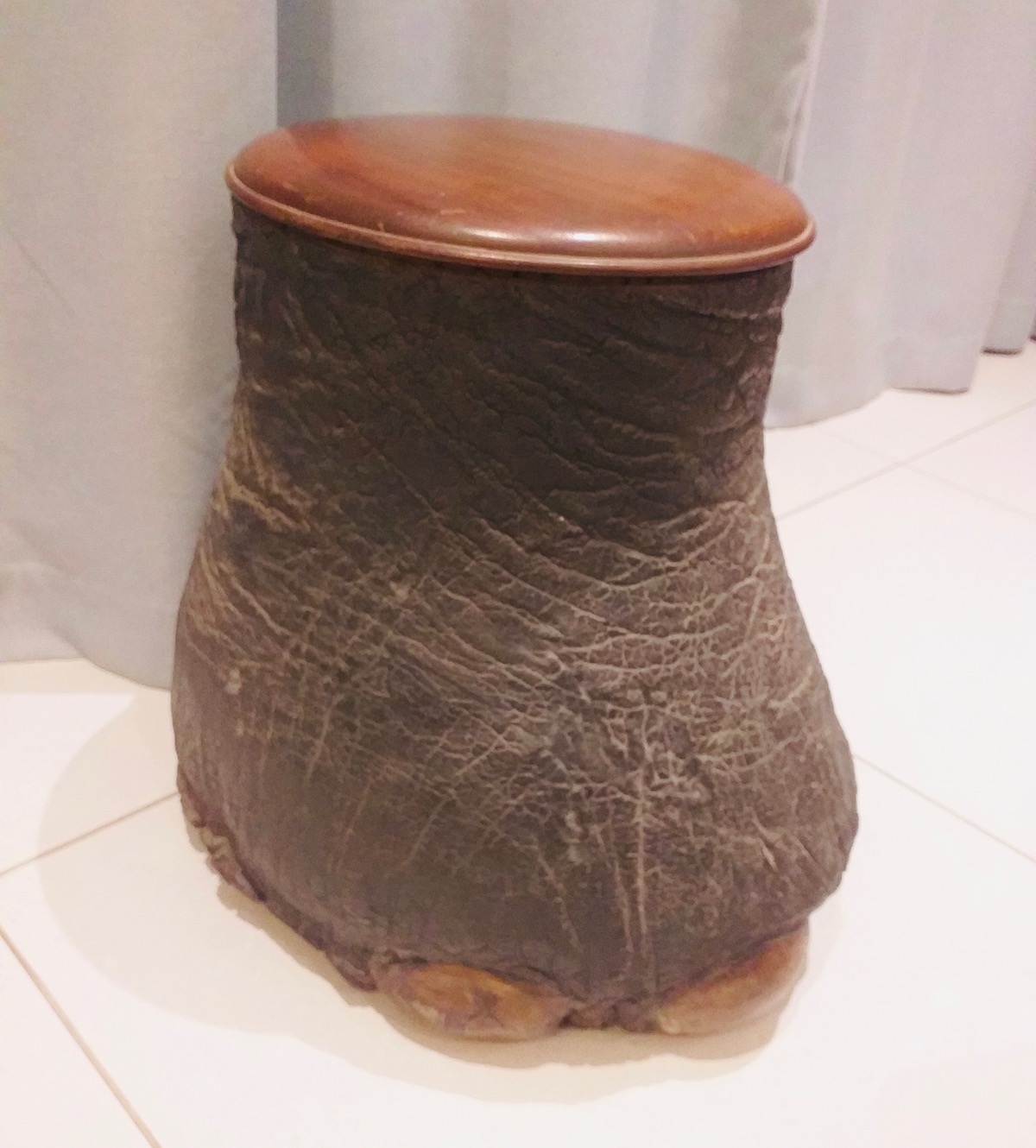 Antique Elephant Foot Umbrella Stand 2.jpg The Heritage Portal